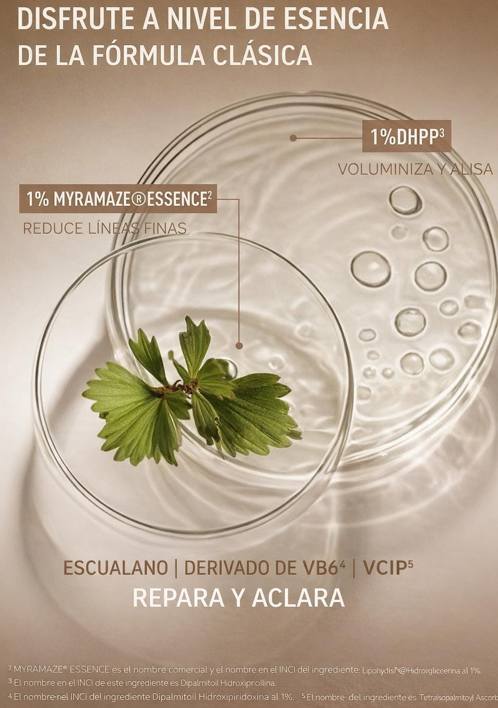 Bálsamo Anti-Wrinkle Color-Changing PETERSON'S LAB